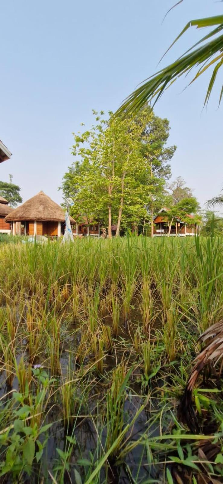Bolaven Garden Bungalow And Tent - Tad Lo Ban Kiangtat ภายนอก รูปภาพ