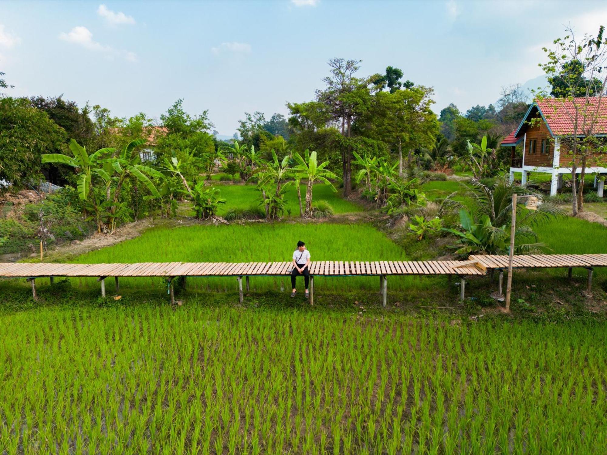 Bolaven Garden Bungalow And Tent - Tad Lo Ban Kiangtat ภายนอก รูปภาพ