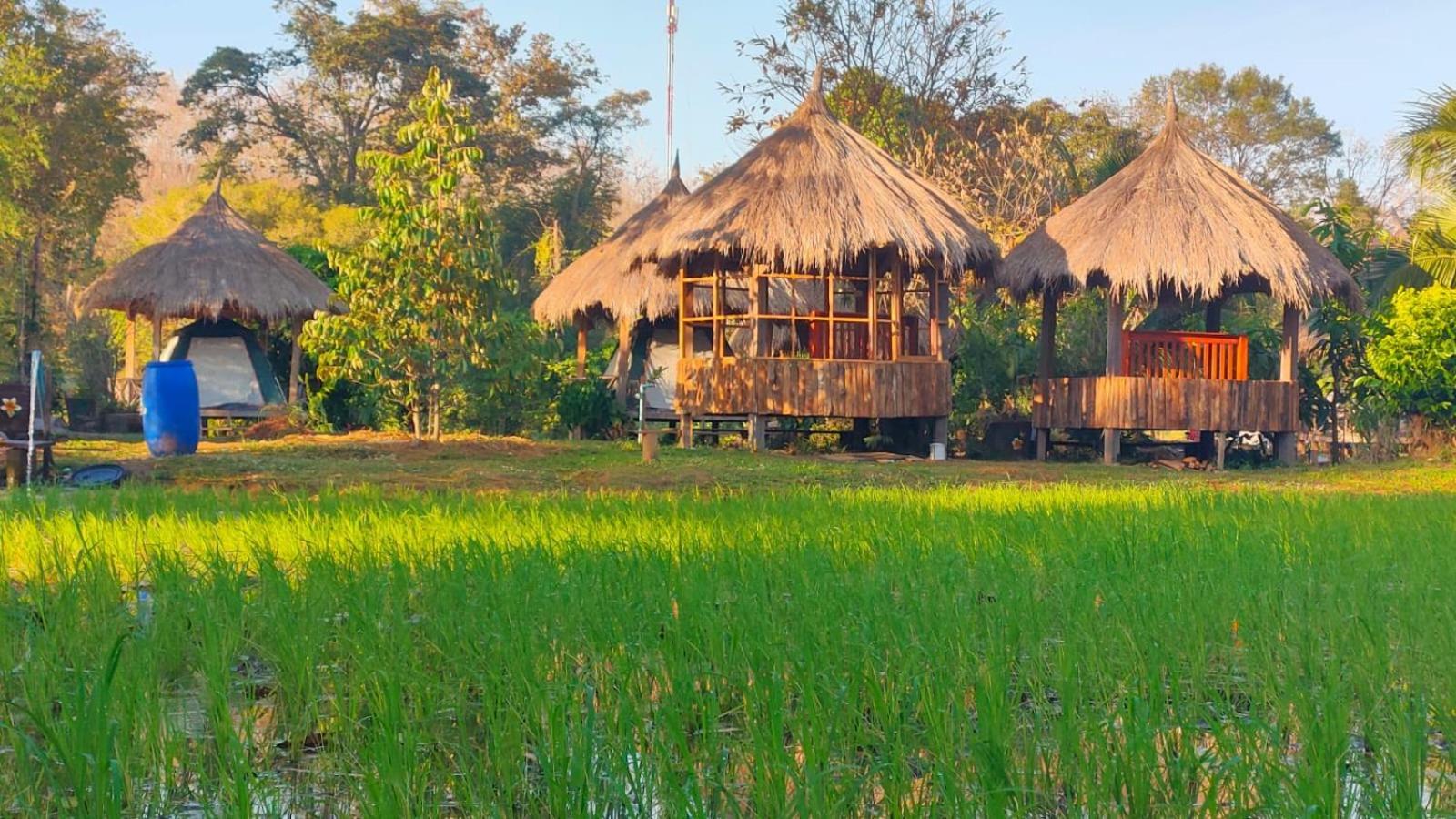 Bolaven Garden Bungalow And Tent - Tad Lo Ban Kiangtat ภายนอก รูปภาพ
